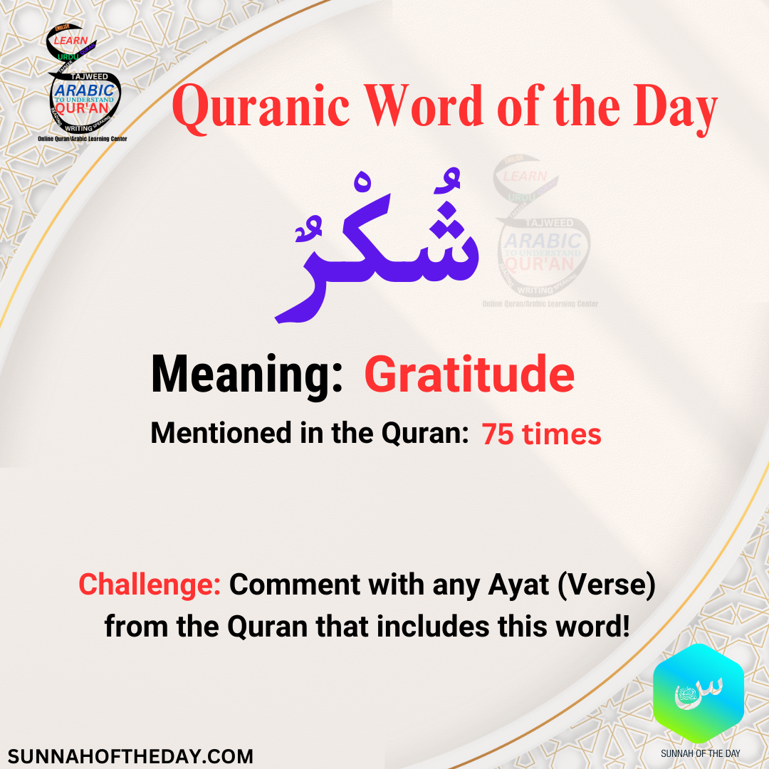 Quranic Word of the Day